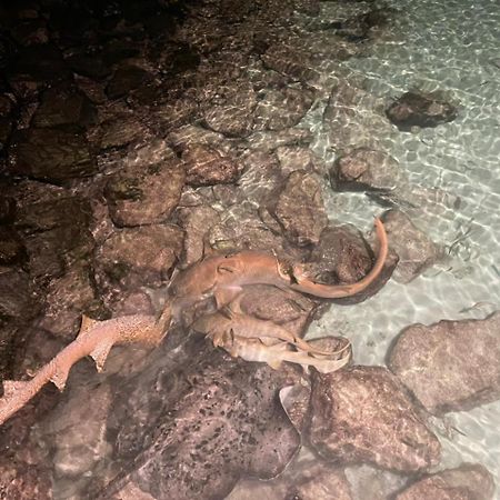 Chaalu Mathiveri Inn Kültér fotó
